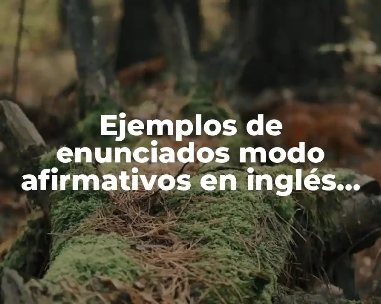 Ejemplos de enunciados modo afirmativos en inglés pasado