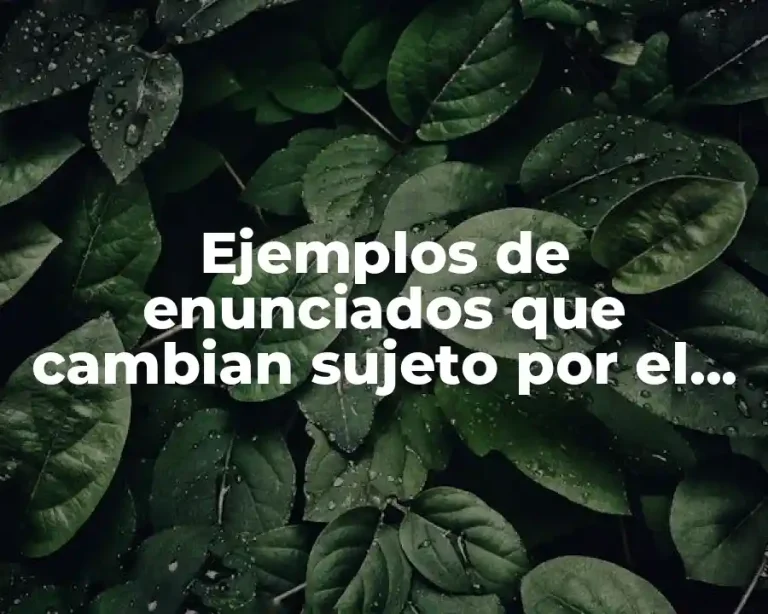 Ejemplos de enunciados que cambian sujeto por el pronombre y Significado