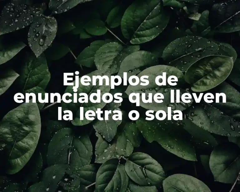 Ejemplos de enunciados que lleven la letra o sola