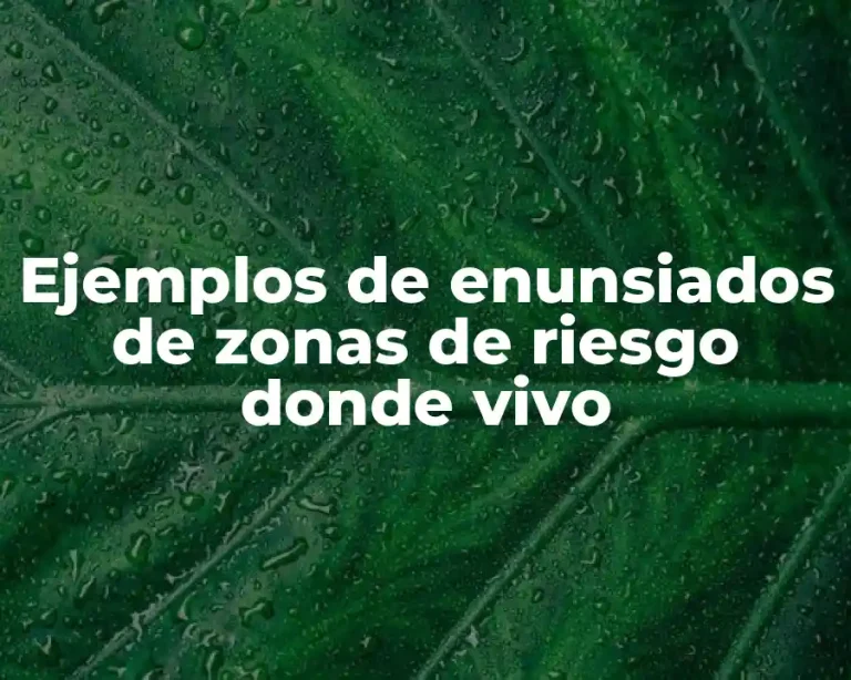 Ejemplos de enunsiados de zonas de riesgo donde vivo