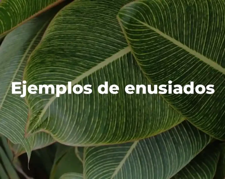 Ejemplos de enusiados