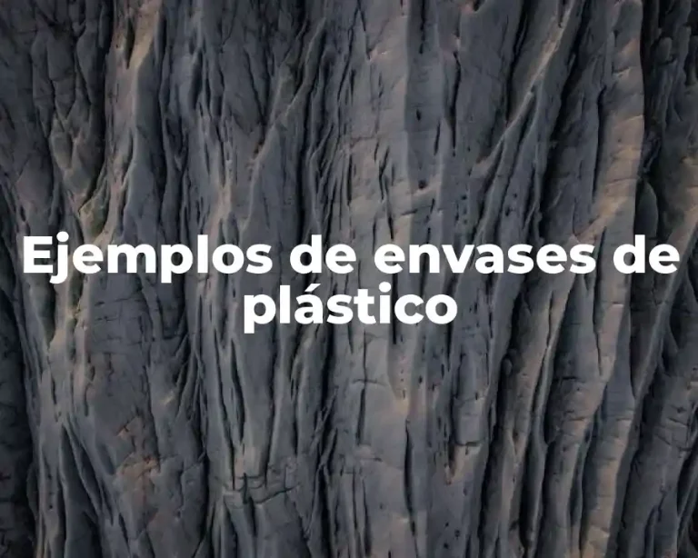 Ejemplos de envases de plástico