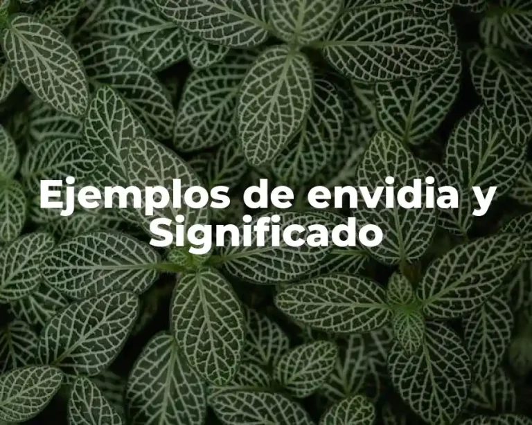 Ejemplos de envidia y Significado