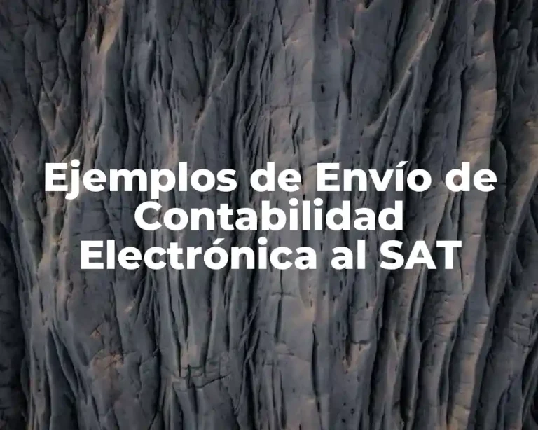 Ejemplos de Envío de Contabilidad Electrónica al SAT