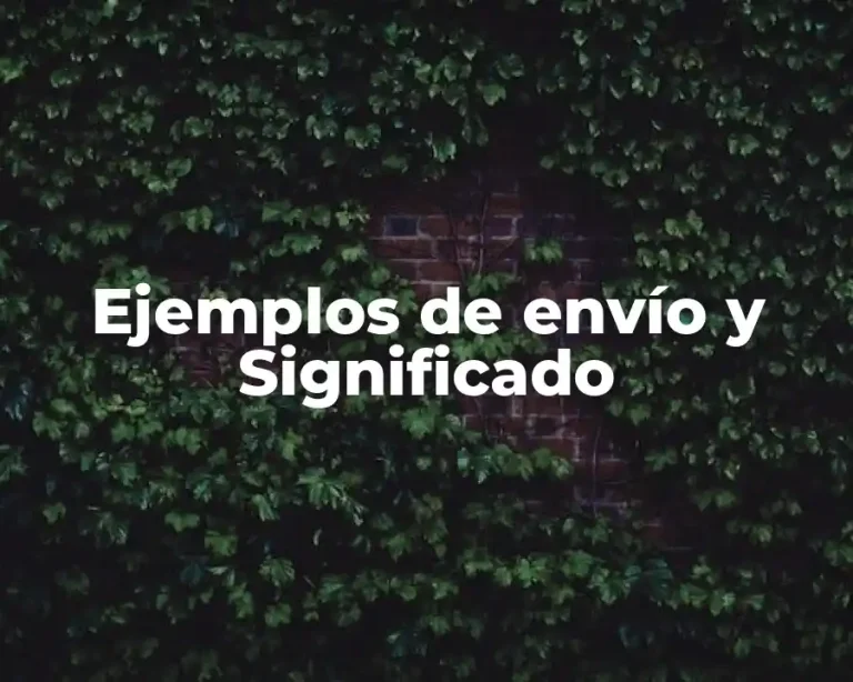 Ejemplos de envío y Significado