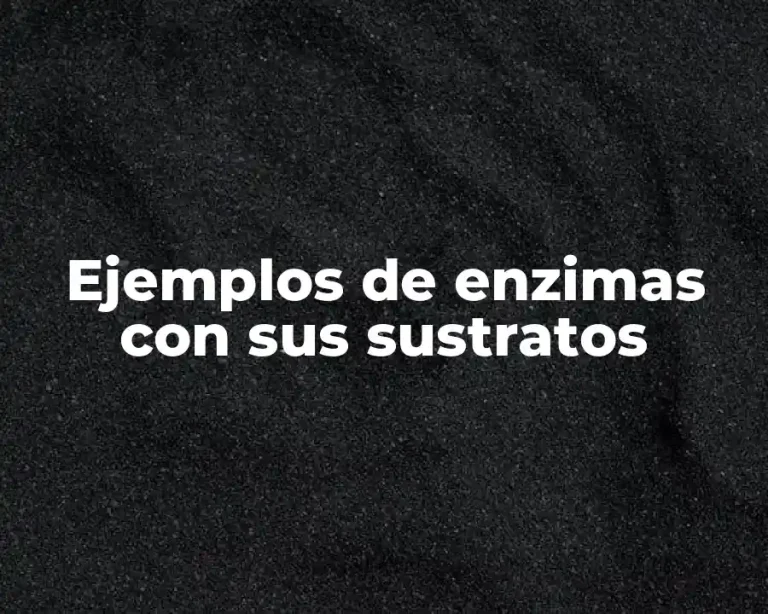 Ejemplos de enzimas con sus sustratos