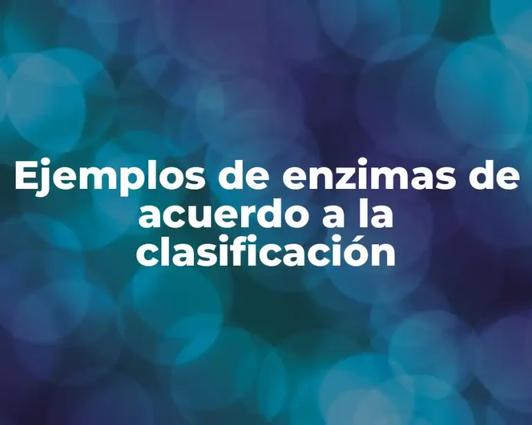 Ejemplos de enzimas de acuerdo a la clasificación