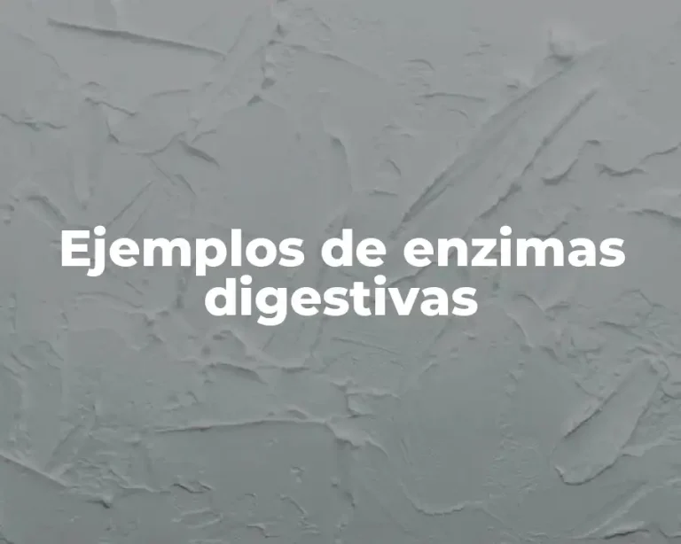 Ejemplos de enzimas digestivas