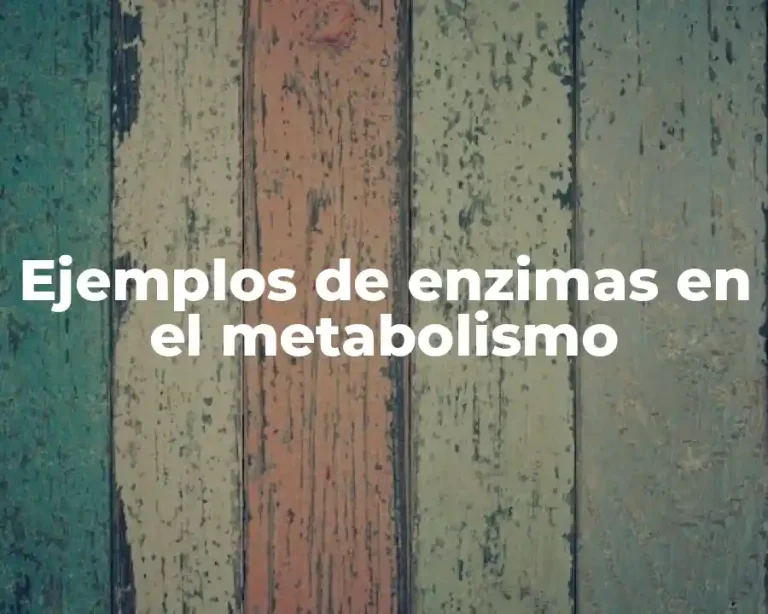 Ejemplos de enzimas en el metabolismo