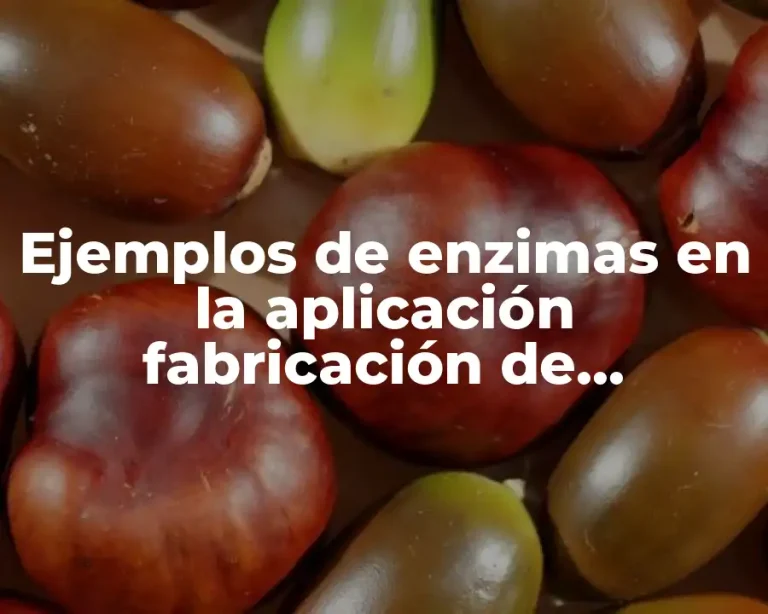 Ejemplos de enzimas en la aplicación fabricación de antibióticos y Significado