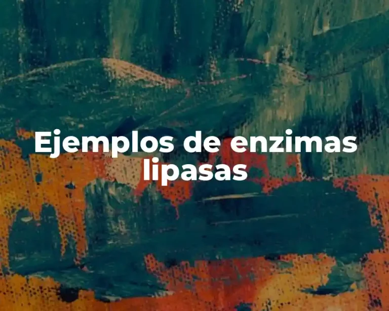 Ejemplos de enzimas lipasas