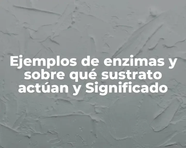 Ejemplos de enzimas y sobre qué sustrato actúan y Significado