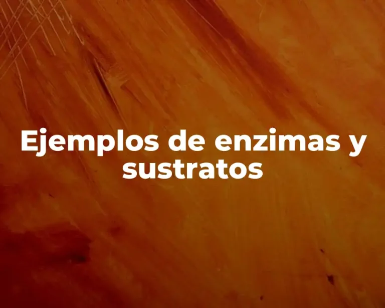 Ejemplos de enzimas y sustratos