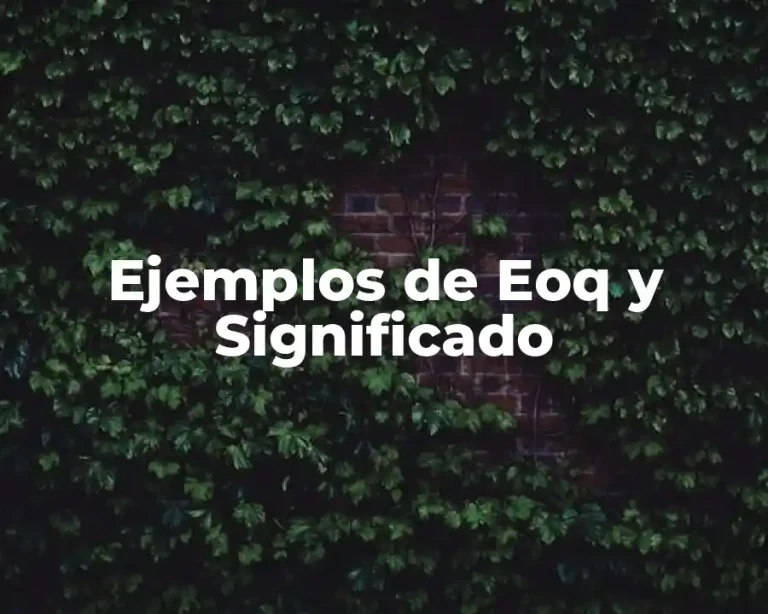 Ejemplos de Eoq y Significado