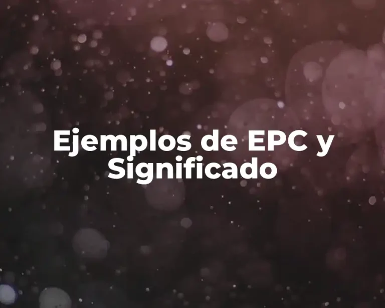 Ejemplos de EPC y Significado