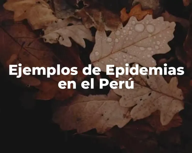 Ejemplos de Epidemias en el Perú