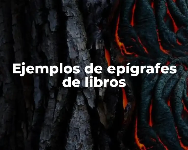 Ejemplos de epígrafes de libros