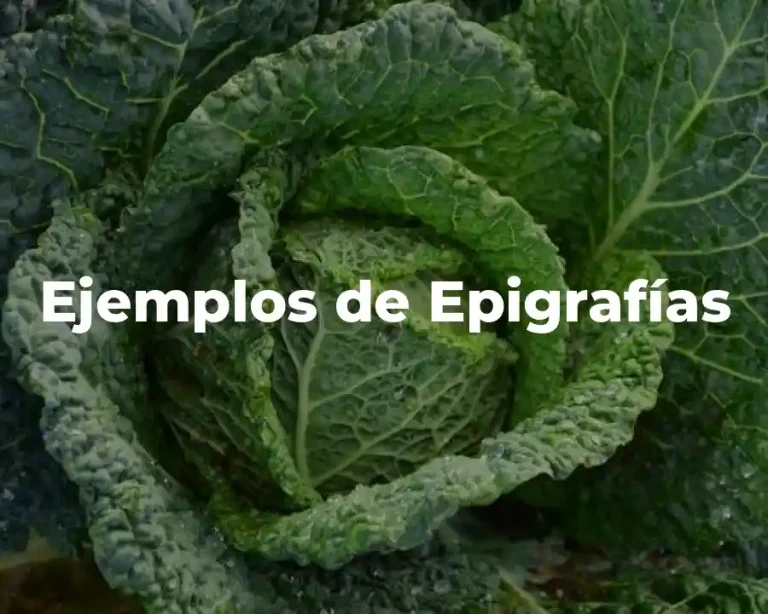 Ejemplos de Epigrafías