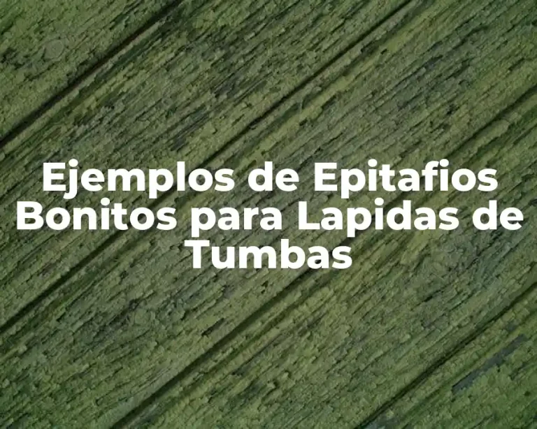 Ejemplos de Epitafios Bonitos para Lapidas de Tumbas