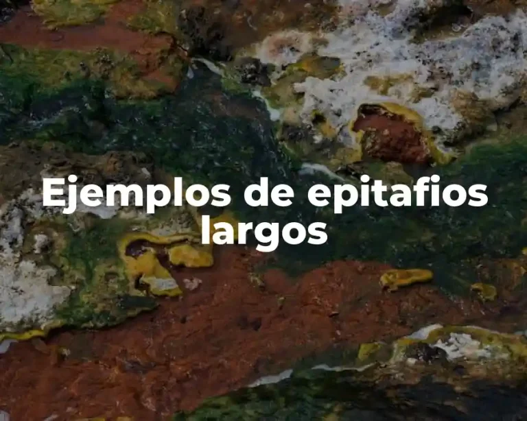 Ejemplos de epitafios largos