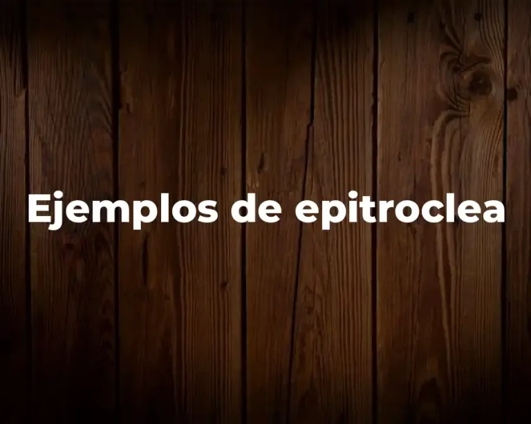 Ejemplos de epitroclea