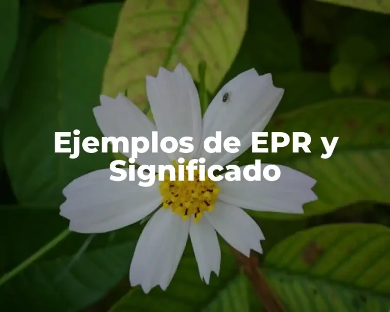 Ejemplos de EPR y Significado