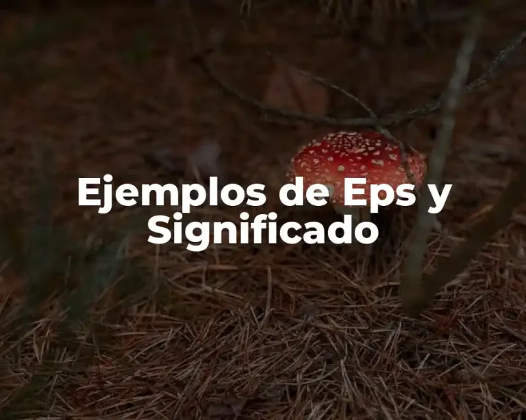 Ejemplos de Eps y Significado