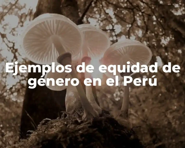Ejemplos de equidad de género en el Perú