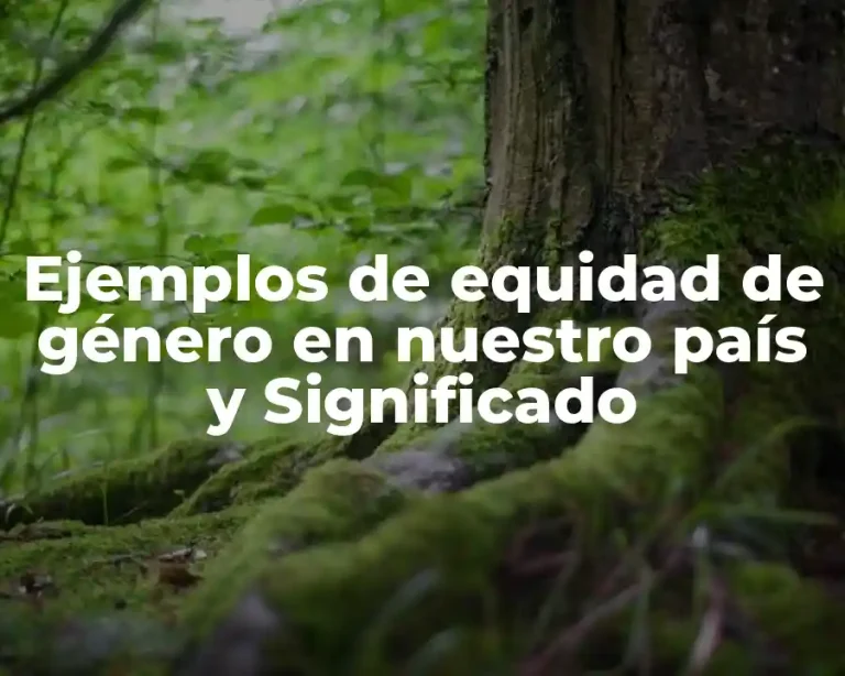 Ejemplos de equidad de género en nuestro país y Significado