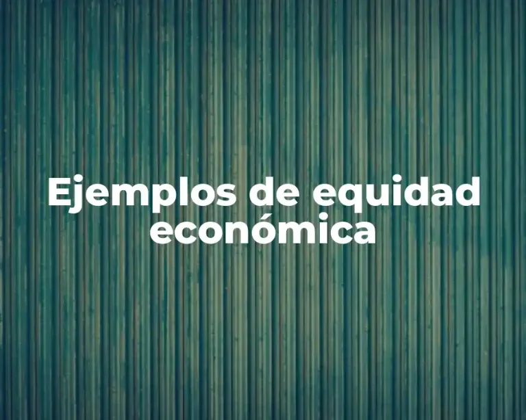 Ejemplos de equidad económica
