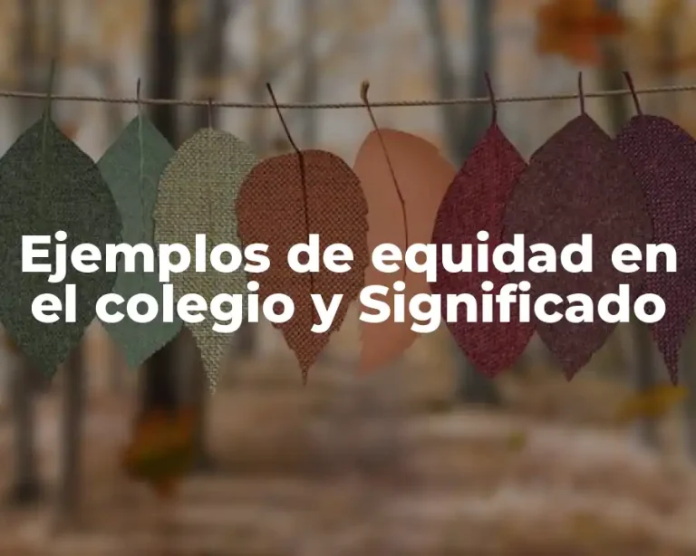 Ejemplos de equidad en el colegio y Significado