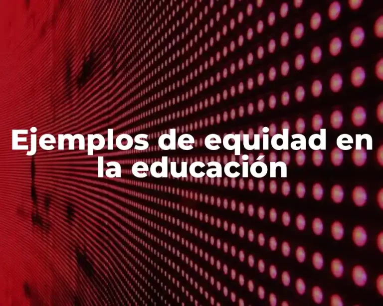 Ejemplos de equidad en la educación
