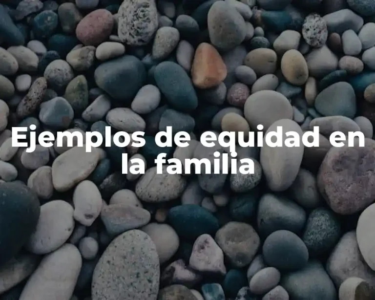 Ejemplos de equidad en la familia