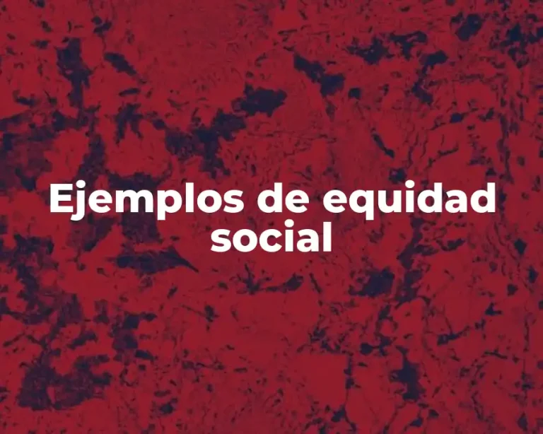 Ejemplos de equidad social