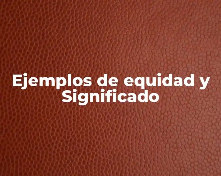 Ejemplos de equidad y Significado