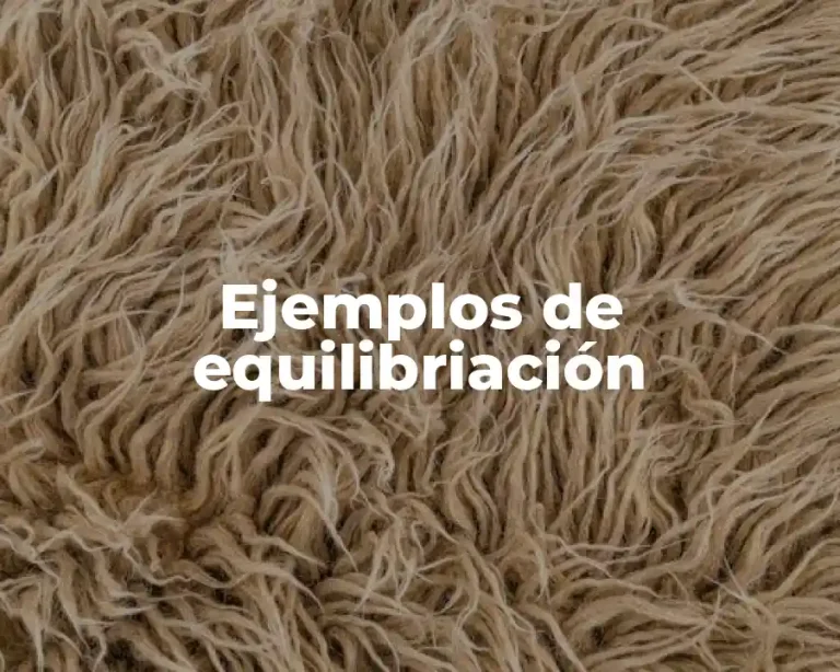 Ejemplos de equilibriación
