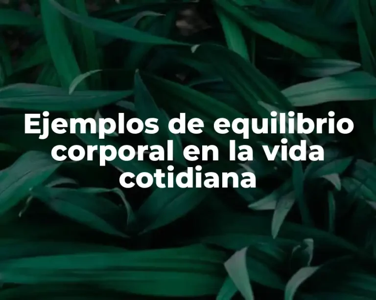 Ejemplos de equilibrio corporal en la vida cotidiana