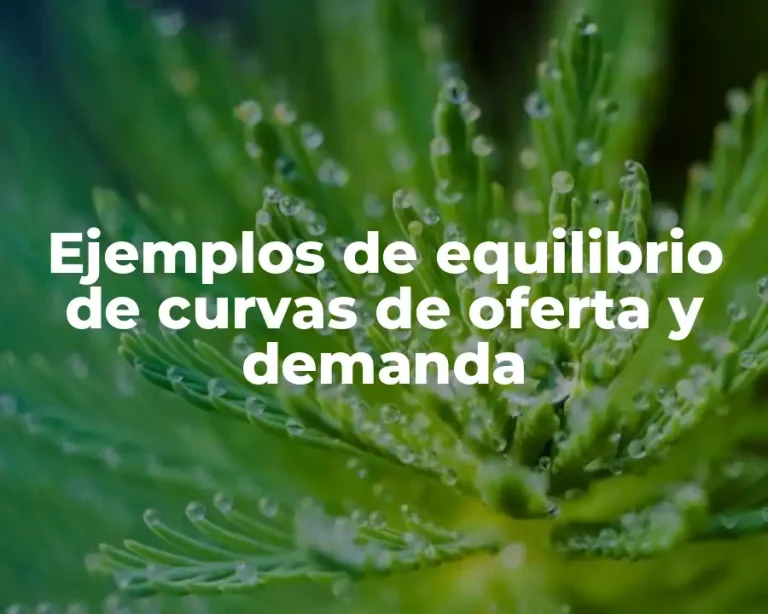Ejemplos de equilibrio de curvas de oferta y demanda