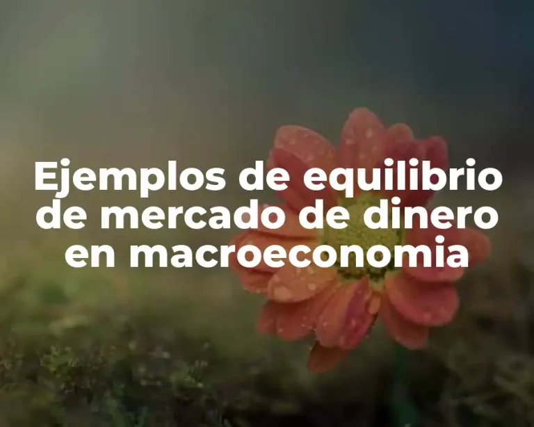 Ejemplos de equilibrio de mercado de dinero en macroeconomia