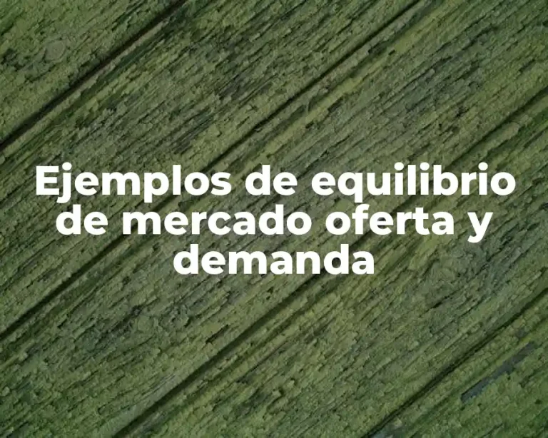 Ejemplos de equilibrio de mercado oferta y demanda