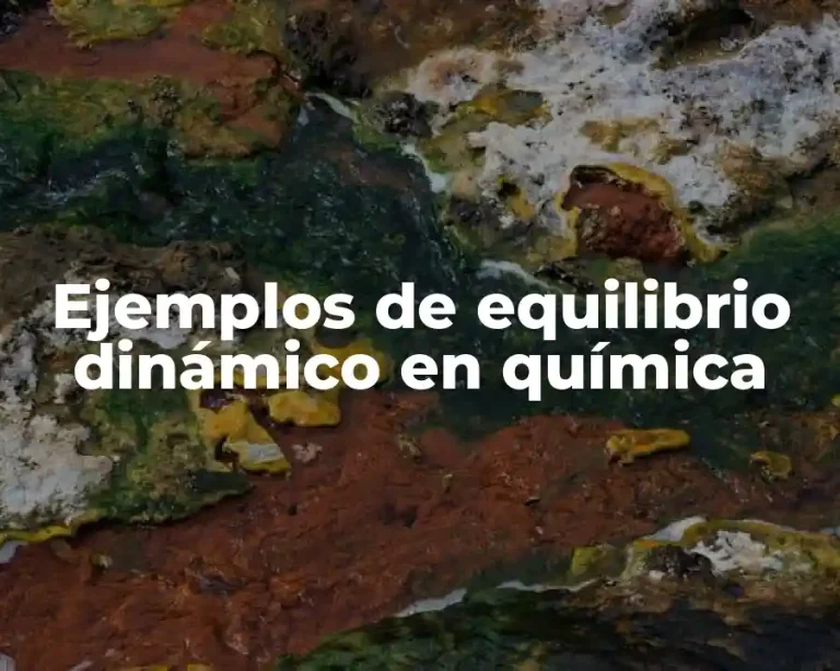 Ejemplos de equilibrio dinámico en química