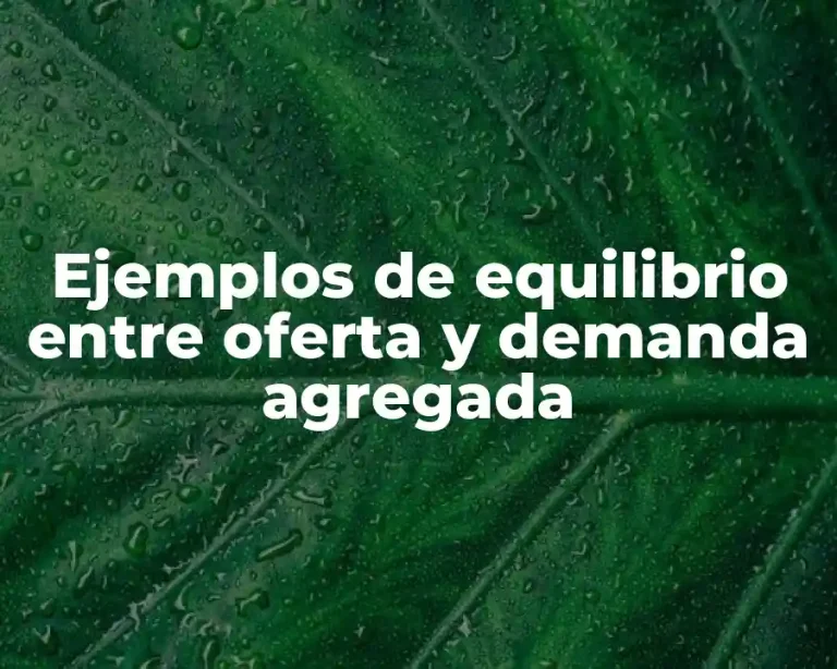 Ejemplos de equilibrio entre oferta y demanda agregada