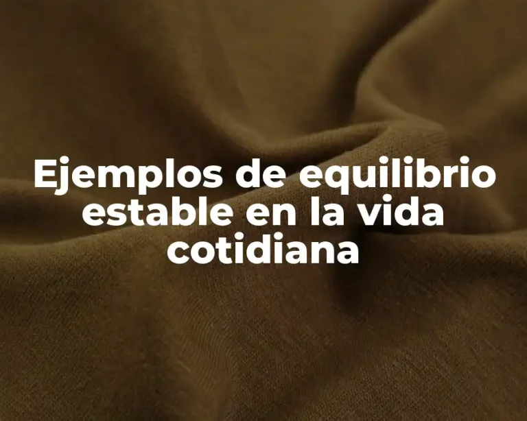 Ejemplos de equilibrio estable en la vida cotidiana