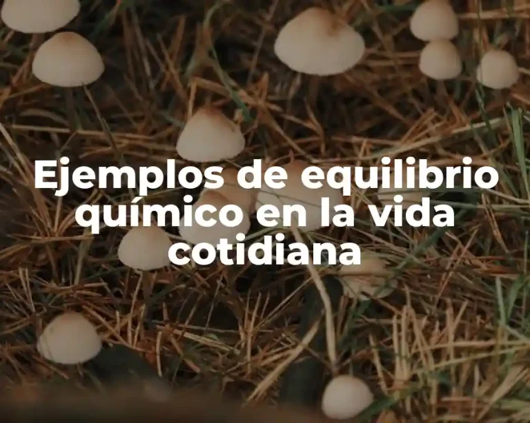 Ejemplos de equilibrio químico en la vida cotidiana