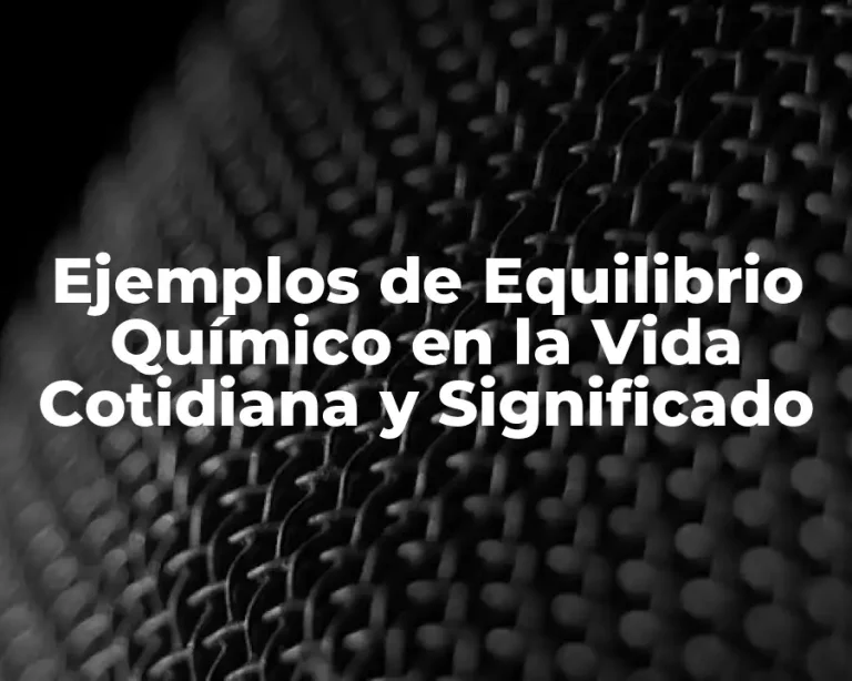 Ejemplos de Equilibrio Químico en la Vida Cotidiana y Significado