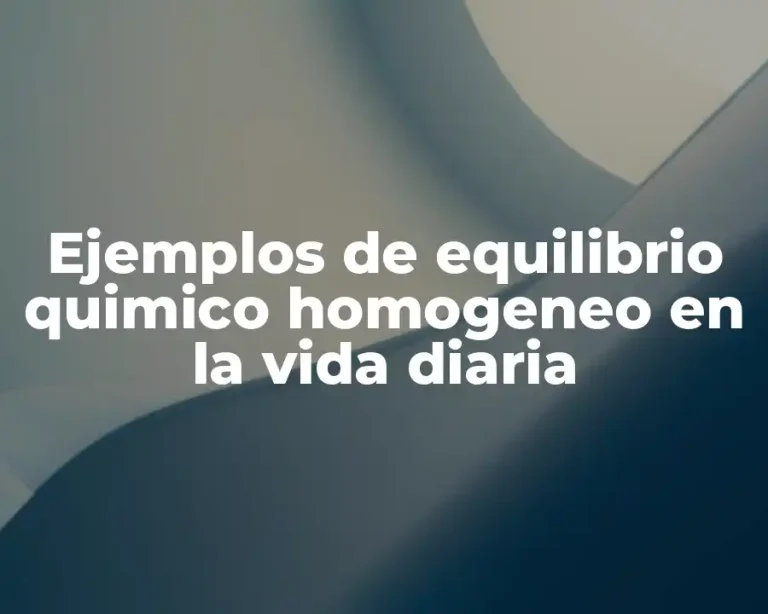 Ejemplos de equilibrio quimico homogeneo en la vida diaria