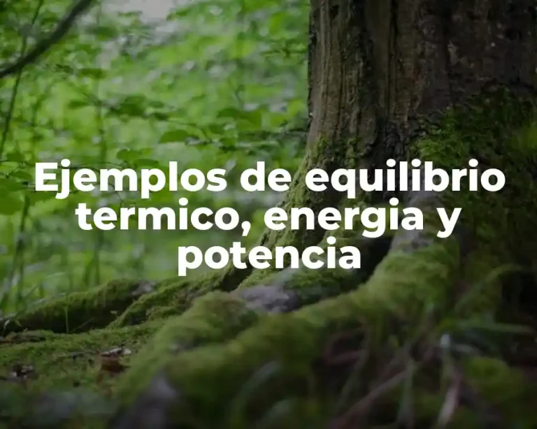 Ejemplos de equilibrio termico, energia y potencia