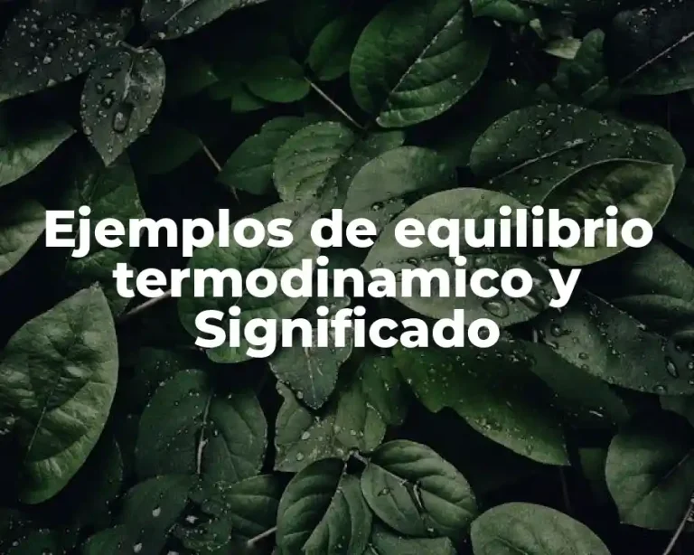 Ejemplos de equilibrio termodinamico y Significado