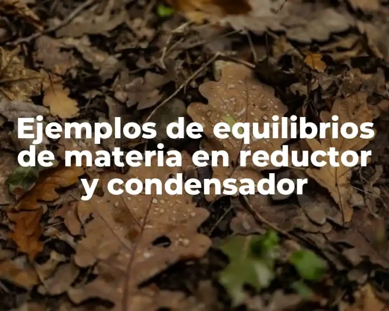 Ejemplos de equilibrios de materia en reductor y condensador