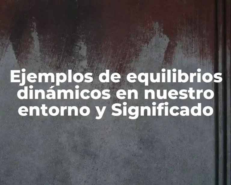 Ejemplos de equilibrios dinámicos en nuestro entorno y Significado